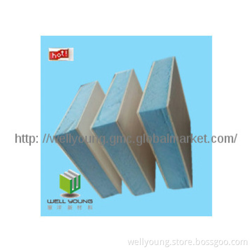 XPS panel for building board